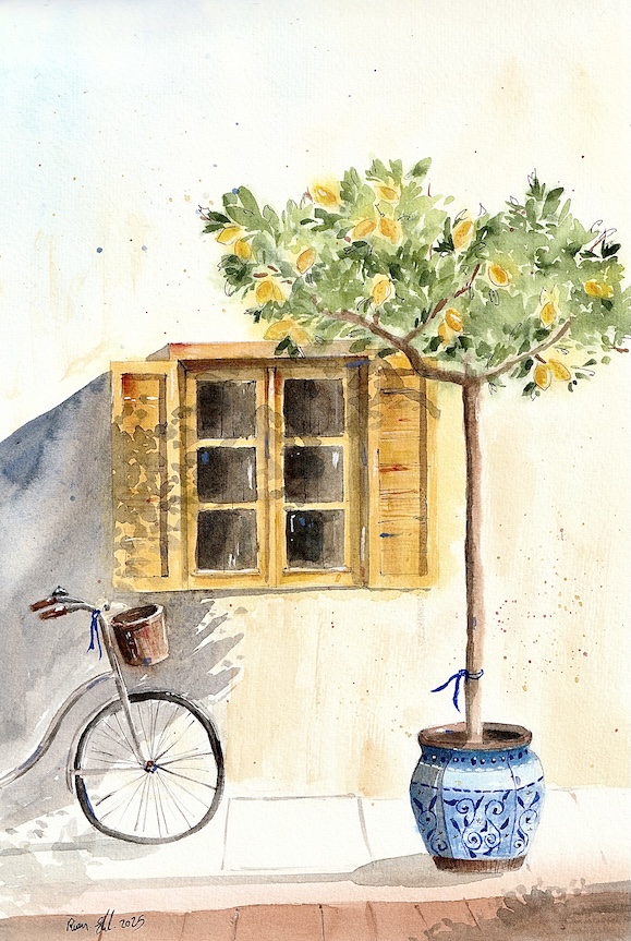 The Lemon Tree